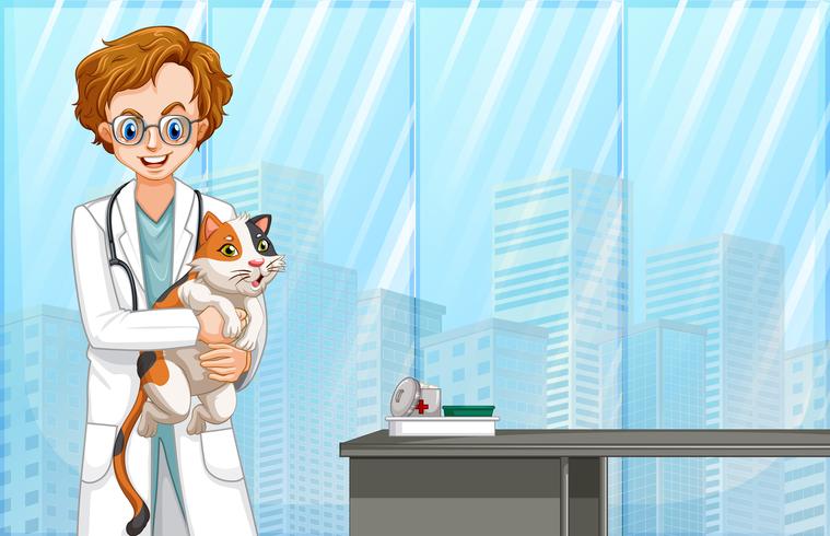 Veterinário e gato no hospital vetor
