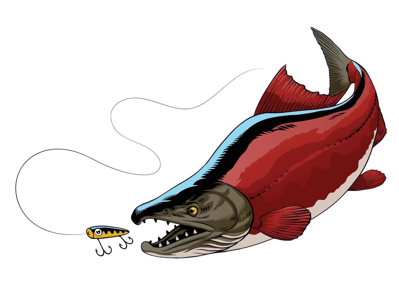 ilustração do sockeye salmão peixe pegando a pescaria atrair vetor