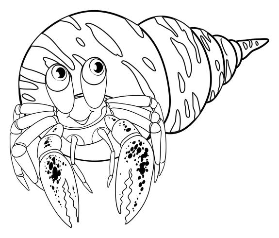 Esboço de doodle animal para caranguejo eremita vetor