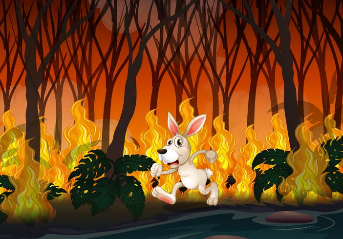 Um coelho correndo em um incêndio vetor