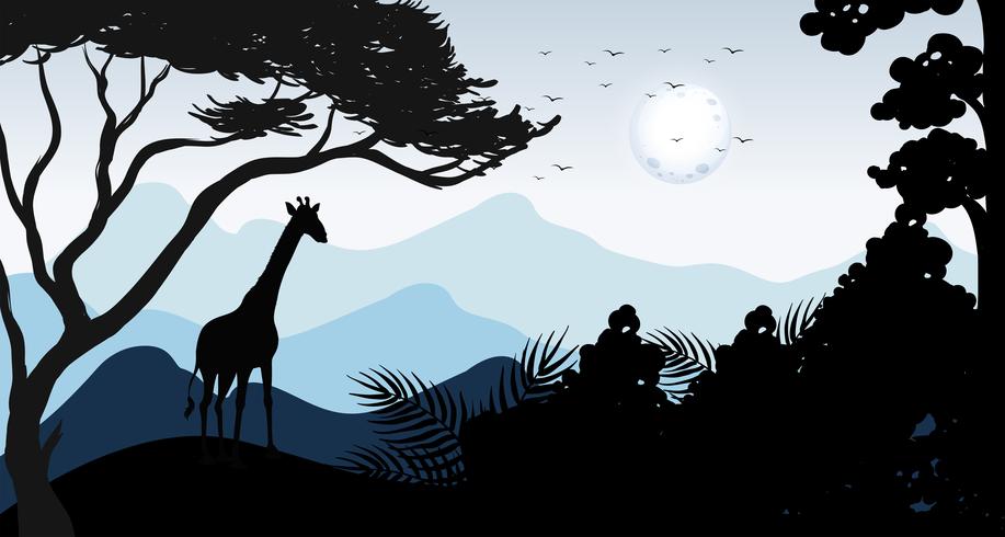 Silhueta Girafa e Cena da Floresta vetor