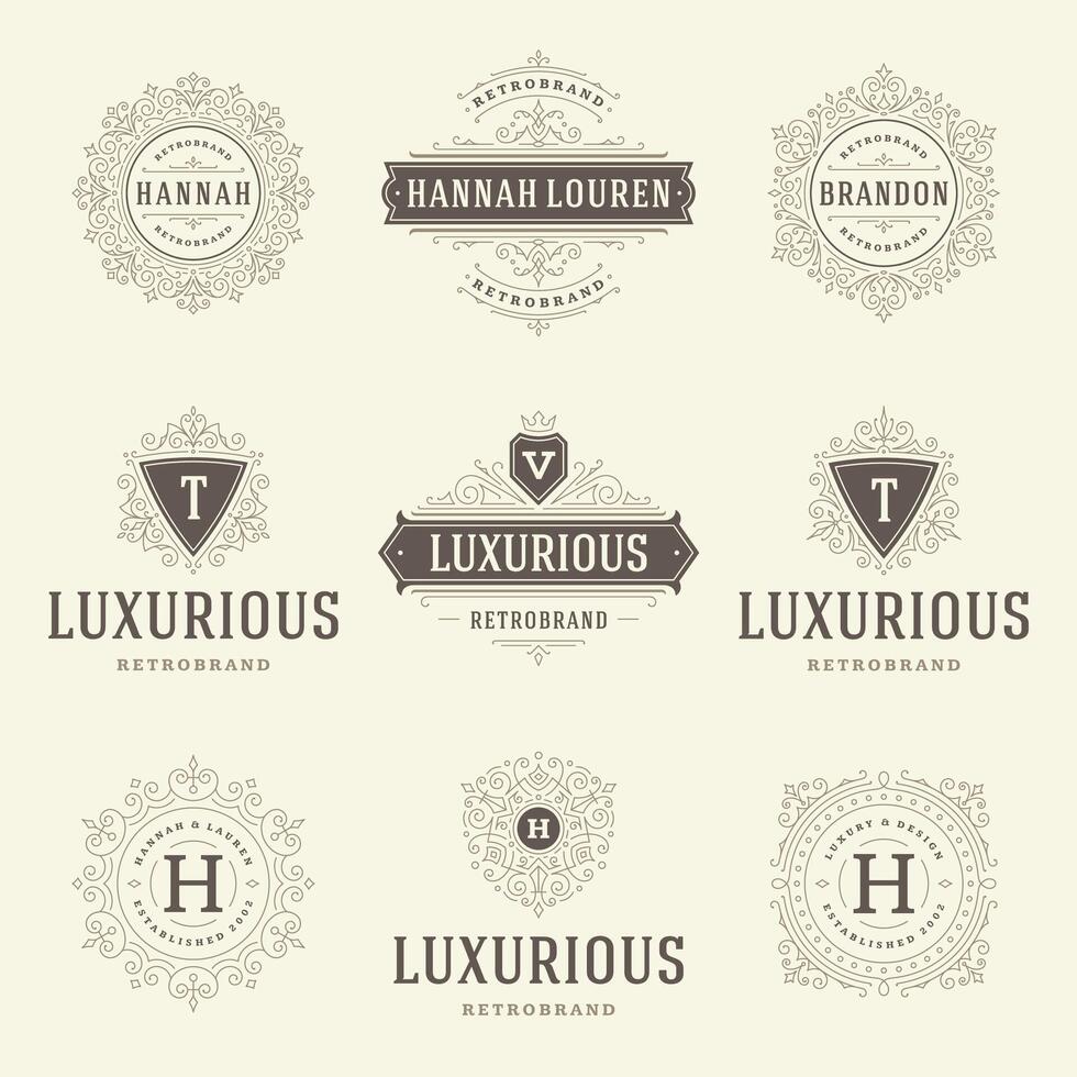 vintage logotipos modelos definir, floresce caligráfico elegante enfeites quadros e fronteiras. vetor