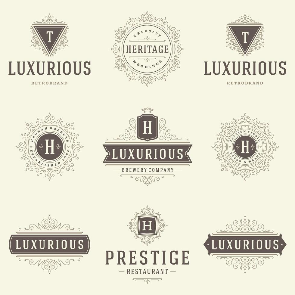 vintage logotipos modelos definir, floresce caligráfico elegante enfeites quadros e fronteiras. vetor