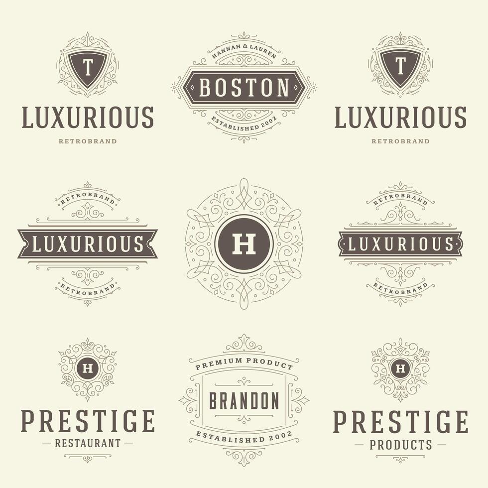 vintage logotipos modelos definir, floresce caligráfico elegante enfeites quadros e fronteiras. vetor