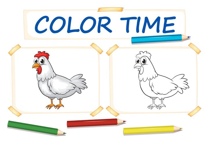 Modelo de coloração com frango vetor