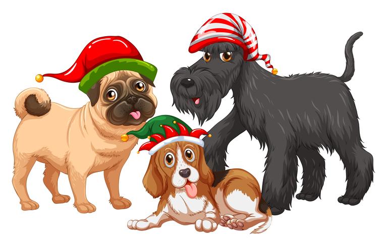 Tema de Natal com cães usando chapéus de Natal vetor