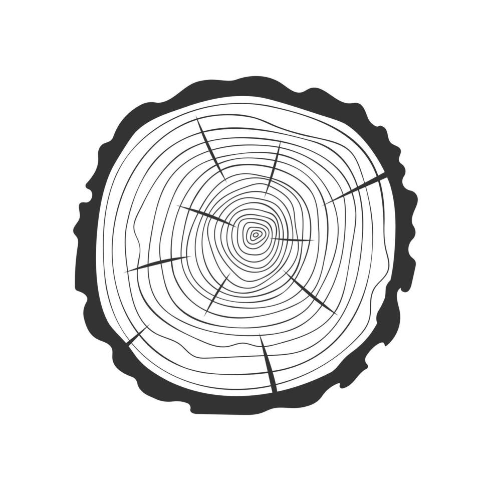 árvore argolas dentro rabisco estilo. mão desenhado tronco Cruz seção textura. dendrocronologia método para determinar árvore idade. de madeira superfície carimbo vetor