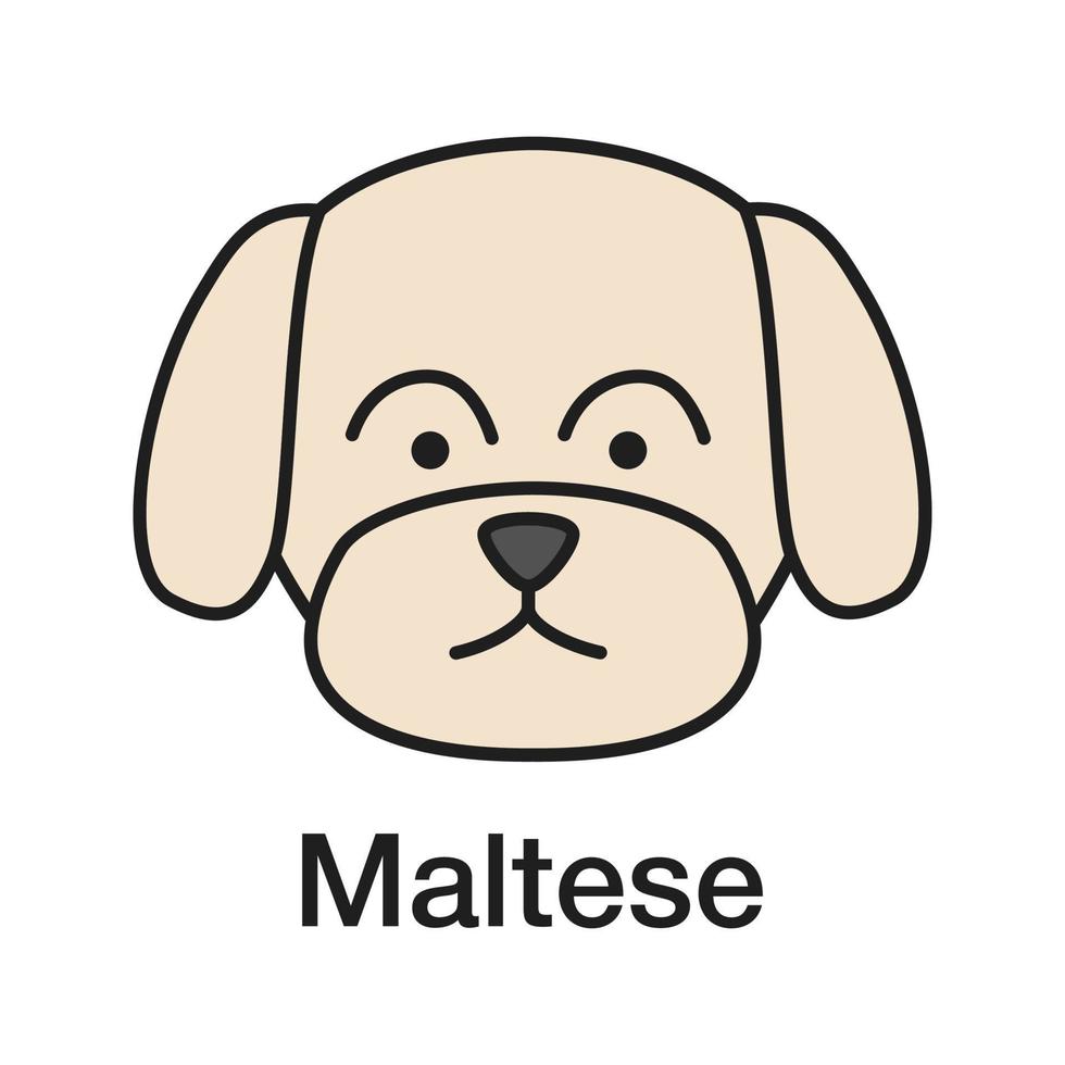 ícone de cor maltesa. raça de cachorro de brinquedo. ilustração vetorial isolada vetor