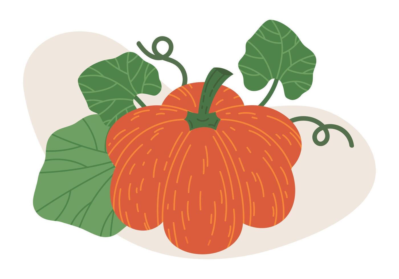 dia das Bruxas laranja abóbora. dia das Bruxas Outubro feriado abóbora decoração, fofa tradicional abóbora vegetal plano ilustração. outono feriados cabaça em branco vetor