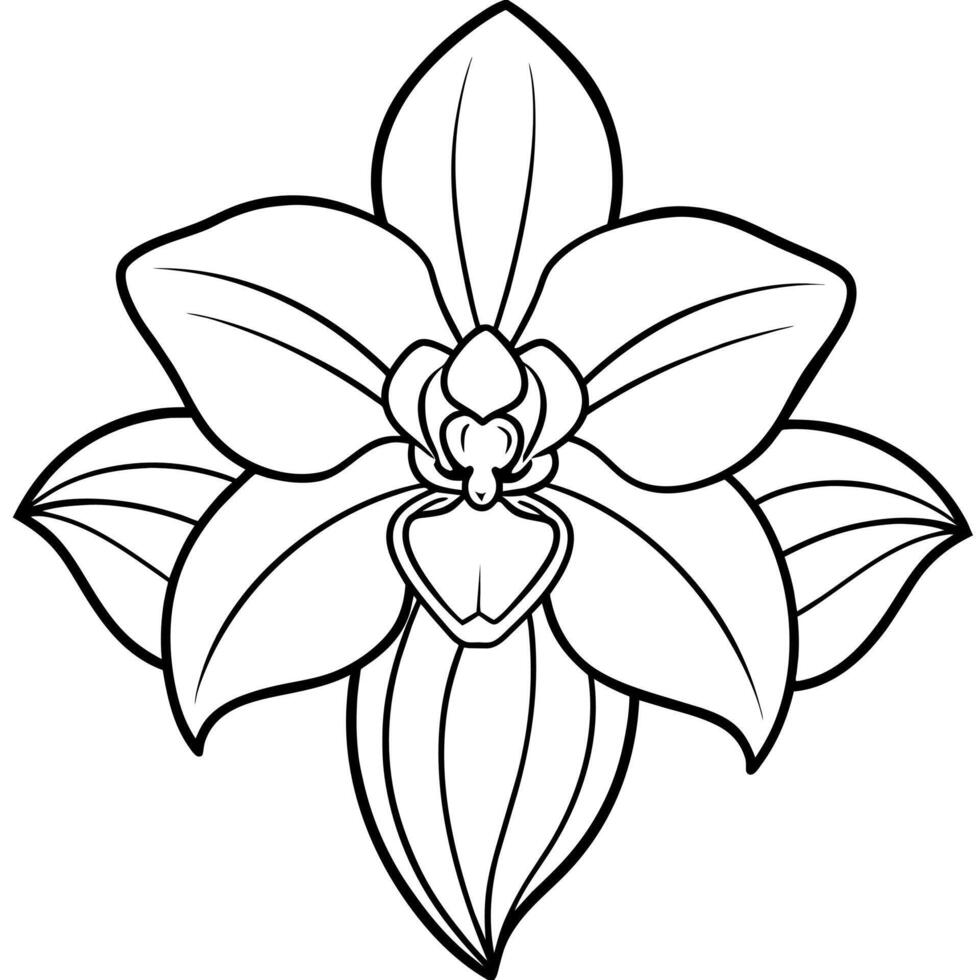 orquídea flor esboço ilustração coloração livro página projeto, orquídea flor ramalhete Preto e branco linha arte desenhando coloração livro Páginas para crianças e adultos vetor