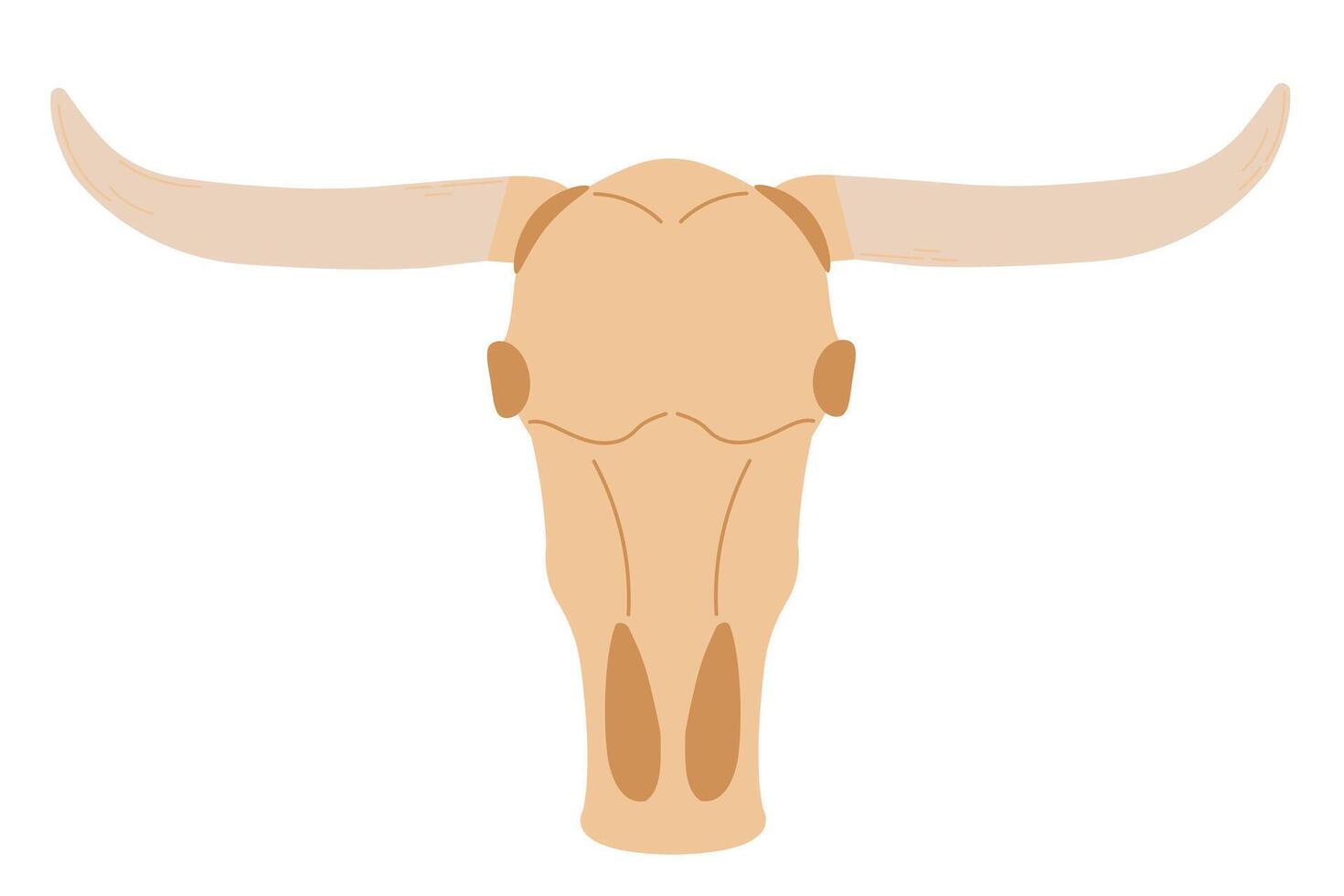 mão desenhado ilustração do touro e vaca animal crânio ,isolado em branco fundo. crânio touro esboço ilustração. vaqueiro estético conceito. selvagem oeste, país estilo. vetor