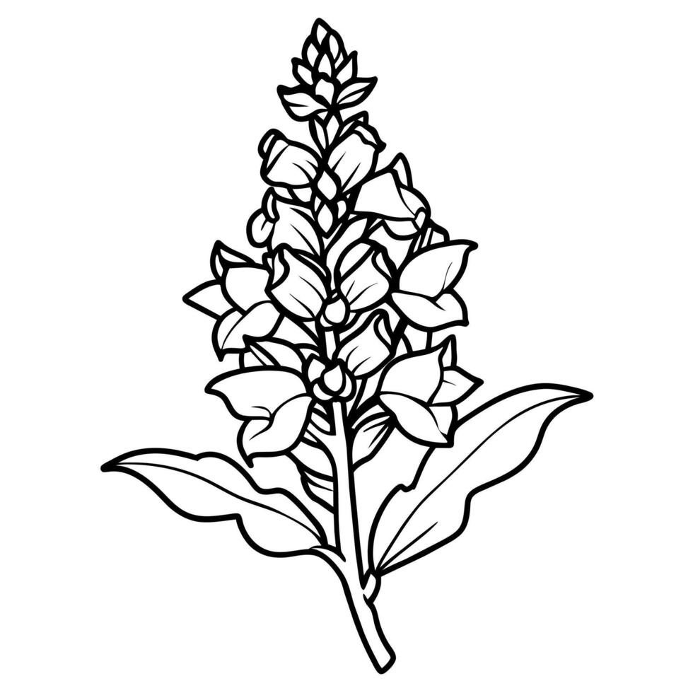 snapdragon flor esboço ilustração coloração livro página projeto, snapdragon flor Preto e branco linha arte desenhando coloração livro Páginas para crianças e adultos vetor