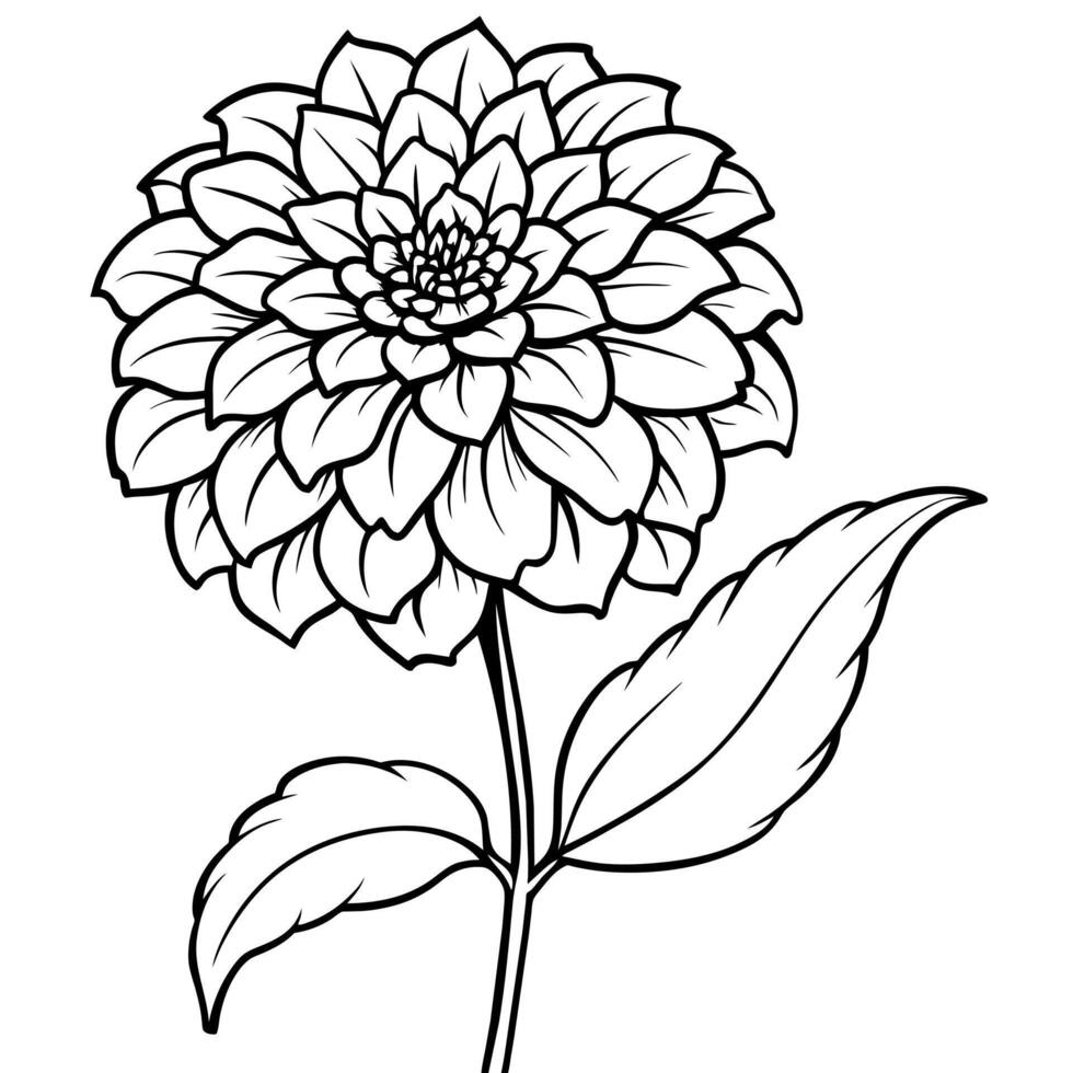 zínia flor esboço ilustração coloração livro página projeto, zínia flor Preto e branco linha arte desenhando coloração livro Páginas para crianças e adultos vetor