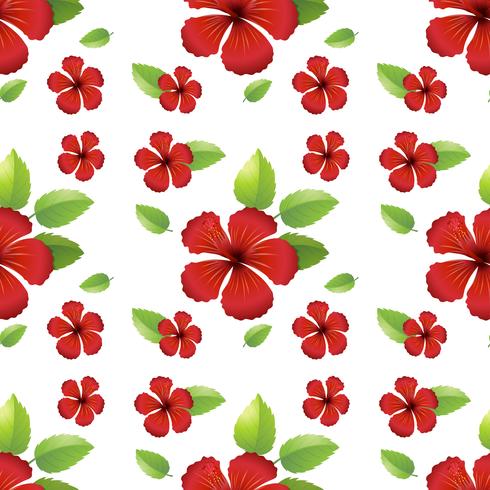 Design sem costura com flores de hibicus vermelho vetor