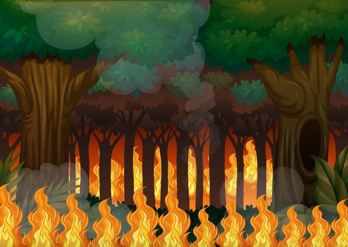 Um incêndio florestal na floresta vetor