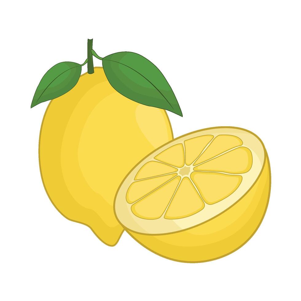 ilustração do limão vetor