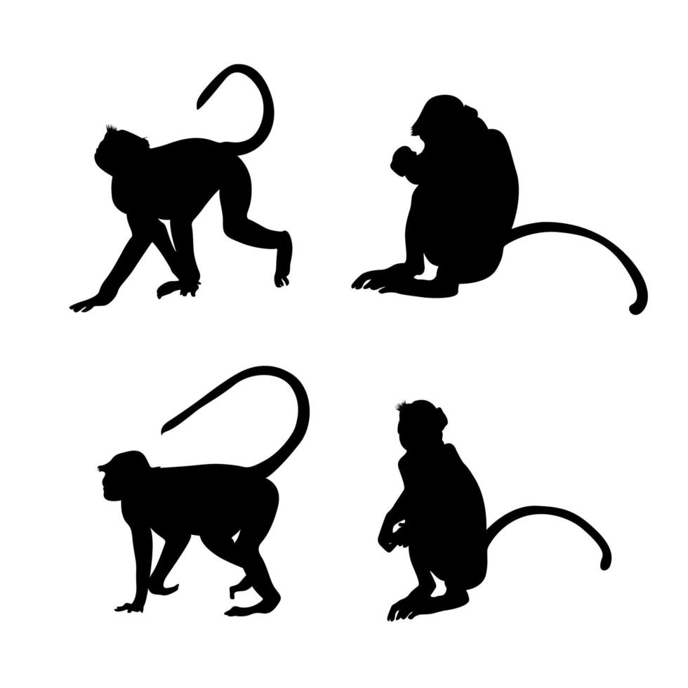 conjunto de silhuetas negras de macacos vetor