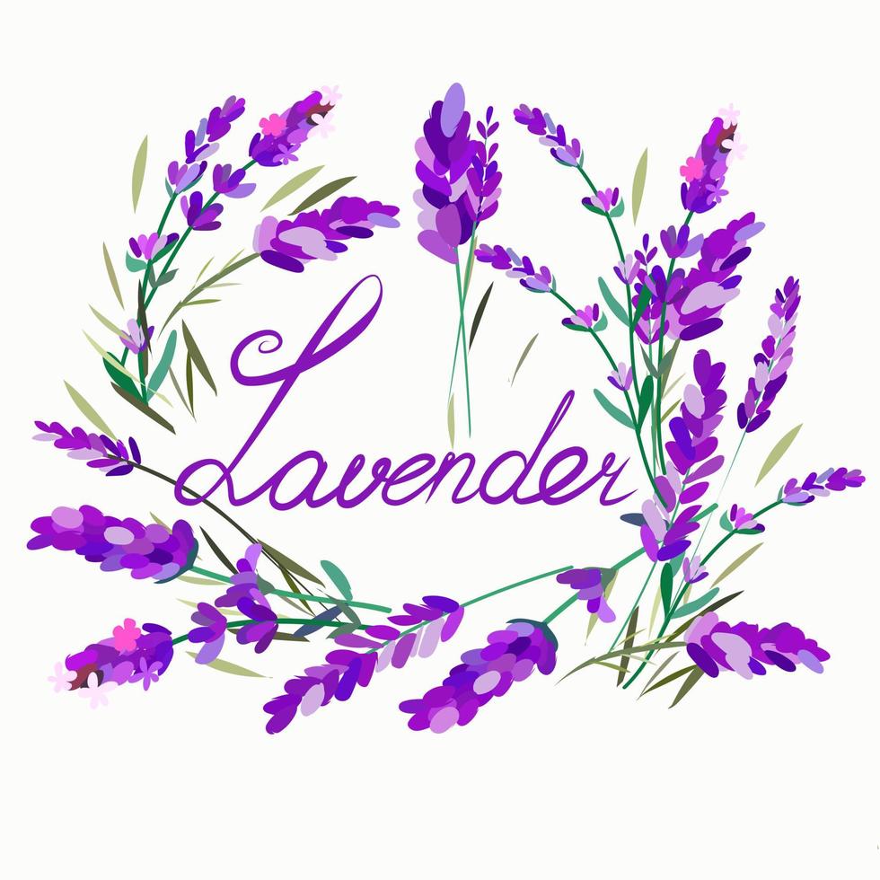 cartão postal com a inscrição lavanda e flores ao redor vetor