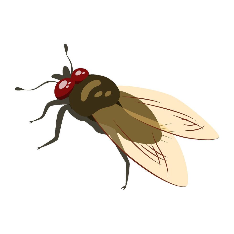 mosca inseto. plano mosca ilustração isolado em branco fundo vetor