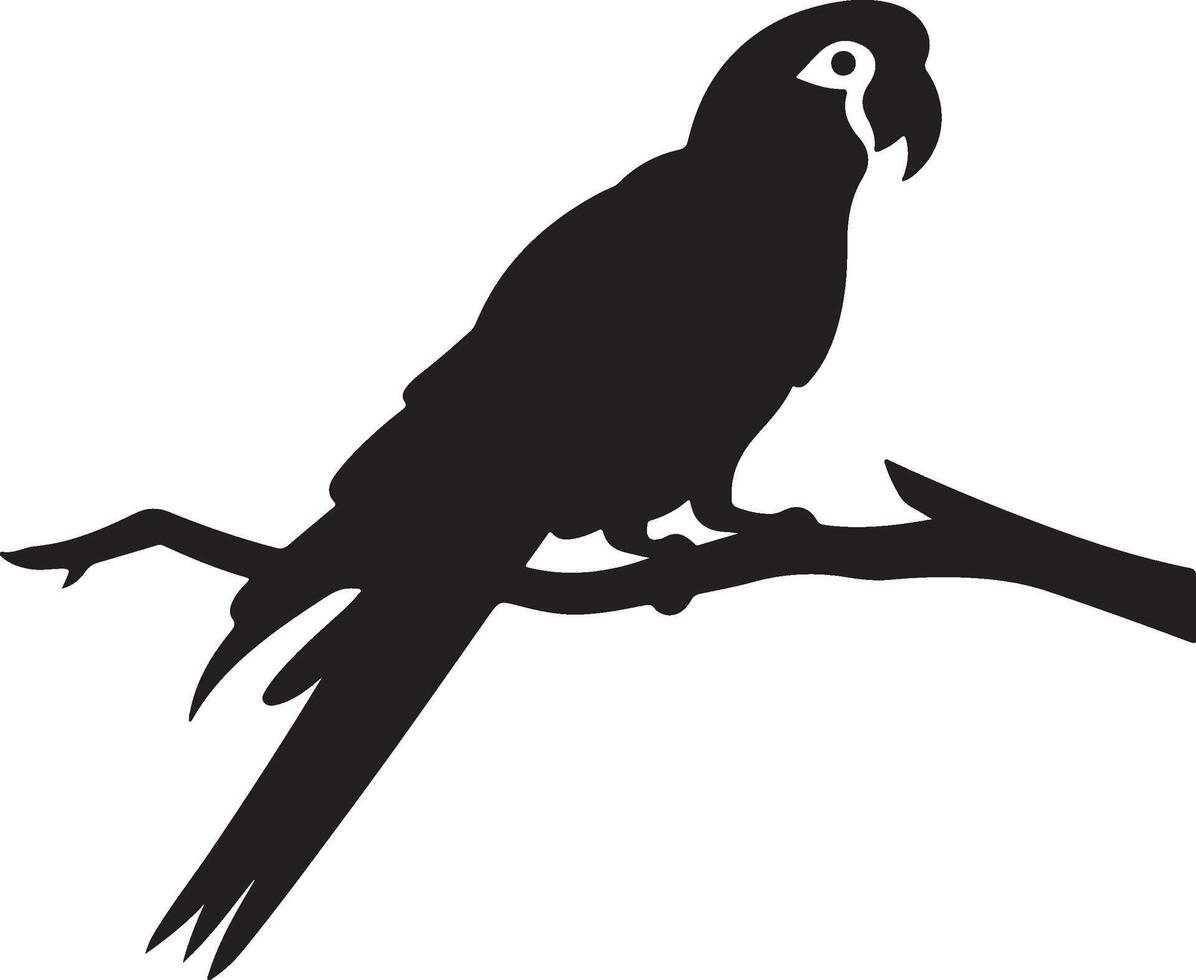 papagaio silhueta ilustração branco fundo vetor