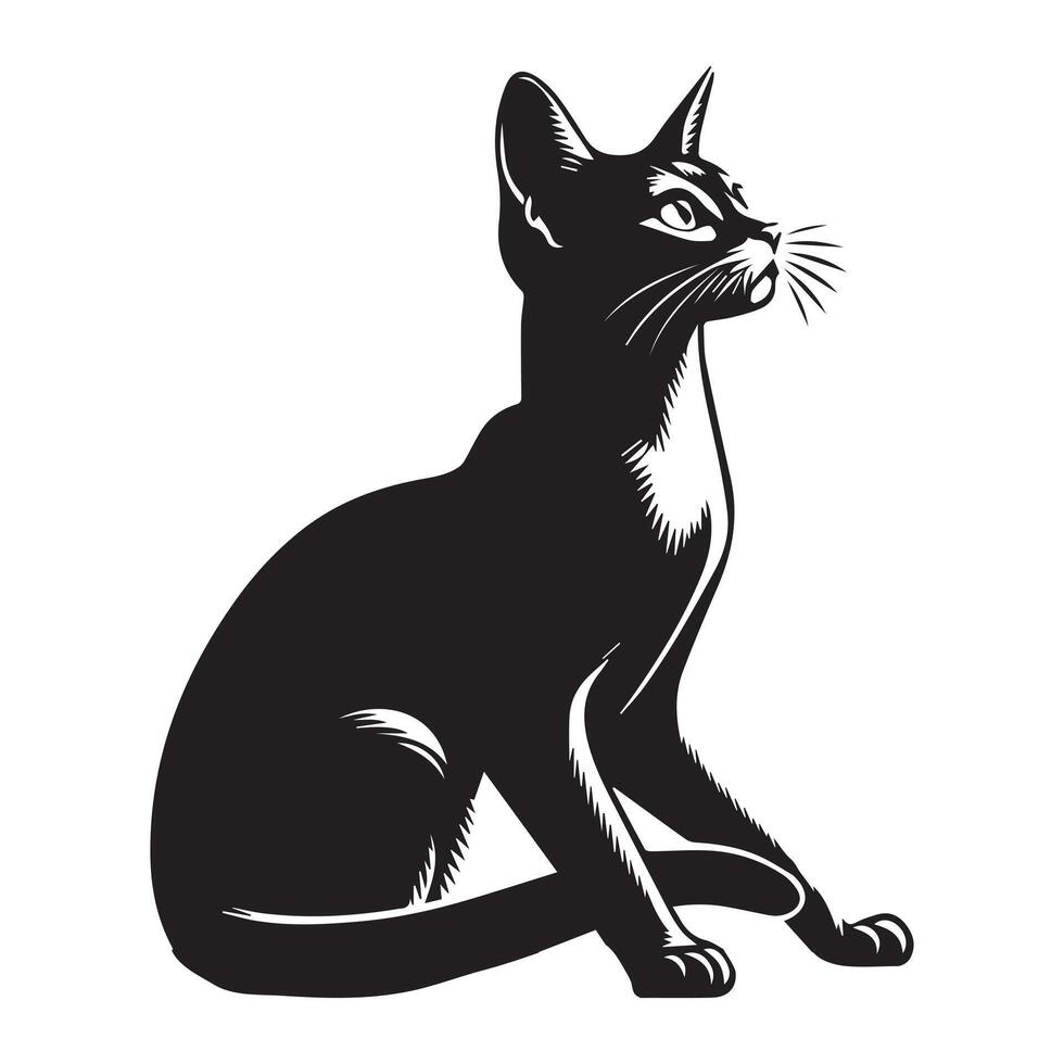 ilustração do uma focado abissínio gato dentro Preto e branco vetor