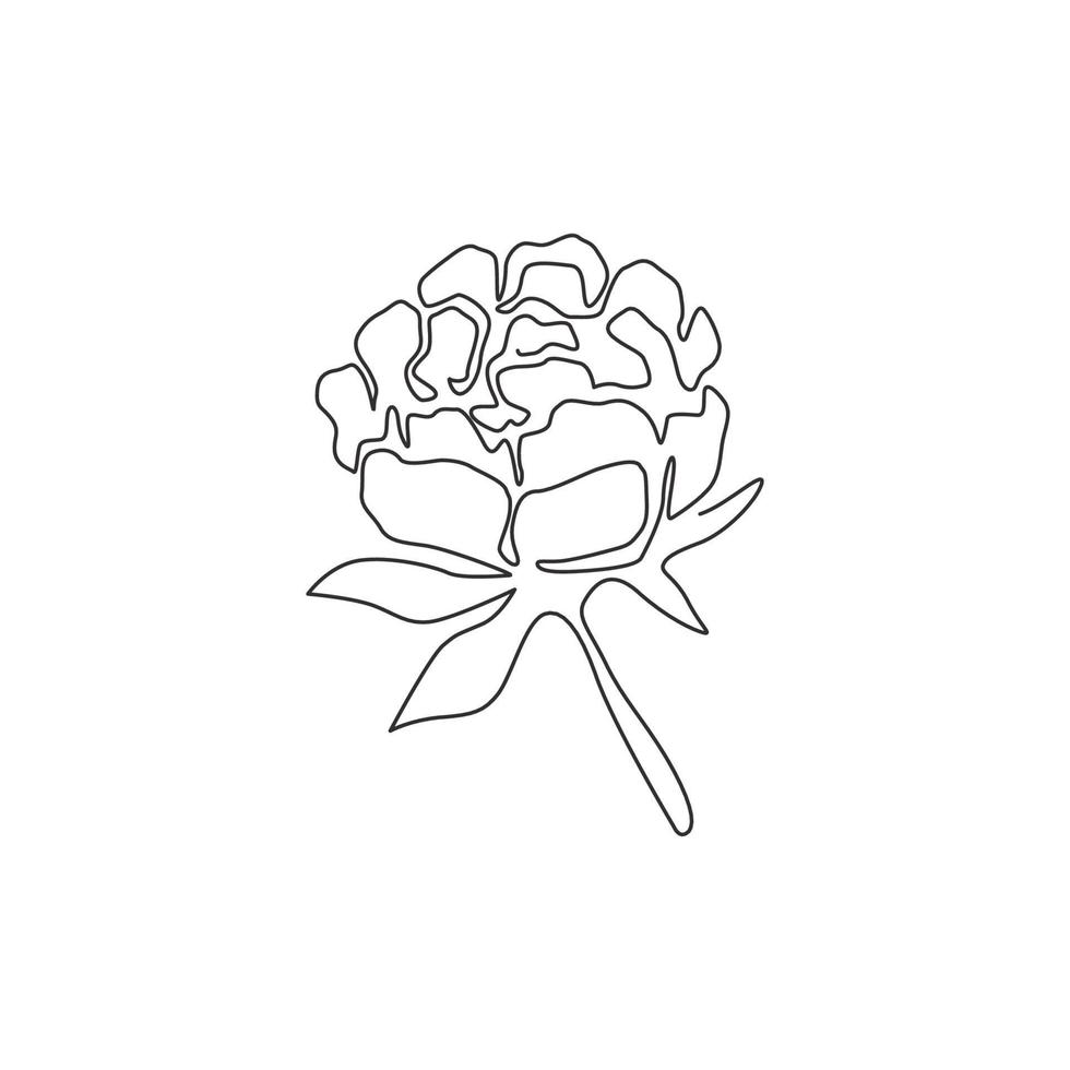 um desenho de linha contínuo de beleza, planta perene, decoração de parede, home art impressão de pôster. flor de peônia decorativa para impressão para o ícone do parque verde. ilustração em vetor moderno desenho de linha única