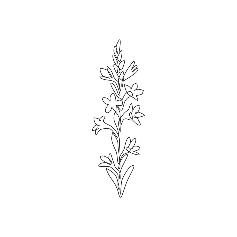 único desenho de linha contínuo beleza agave fresco amica para impressão de pôster da arte da parede da decoração da casa. conceito de flor tuberosa decorativa para moldura de cartão floral. ilustração em vetor moderno desenho de uma linha