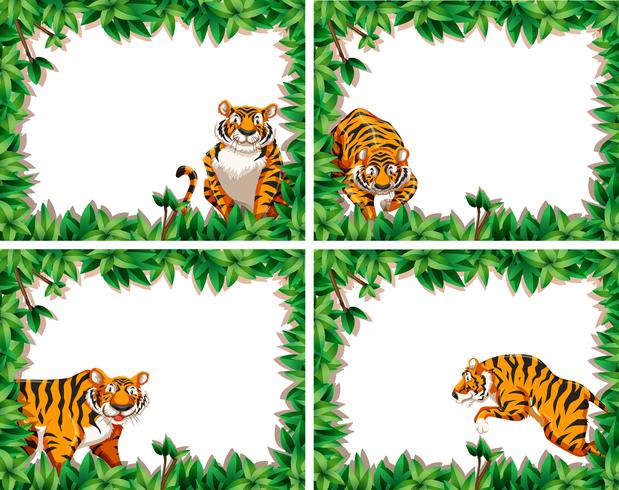 Conjunto de quadros de folha de tigre vetor