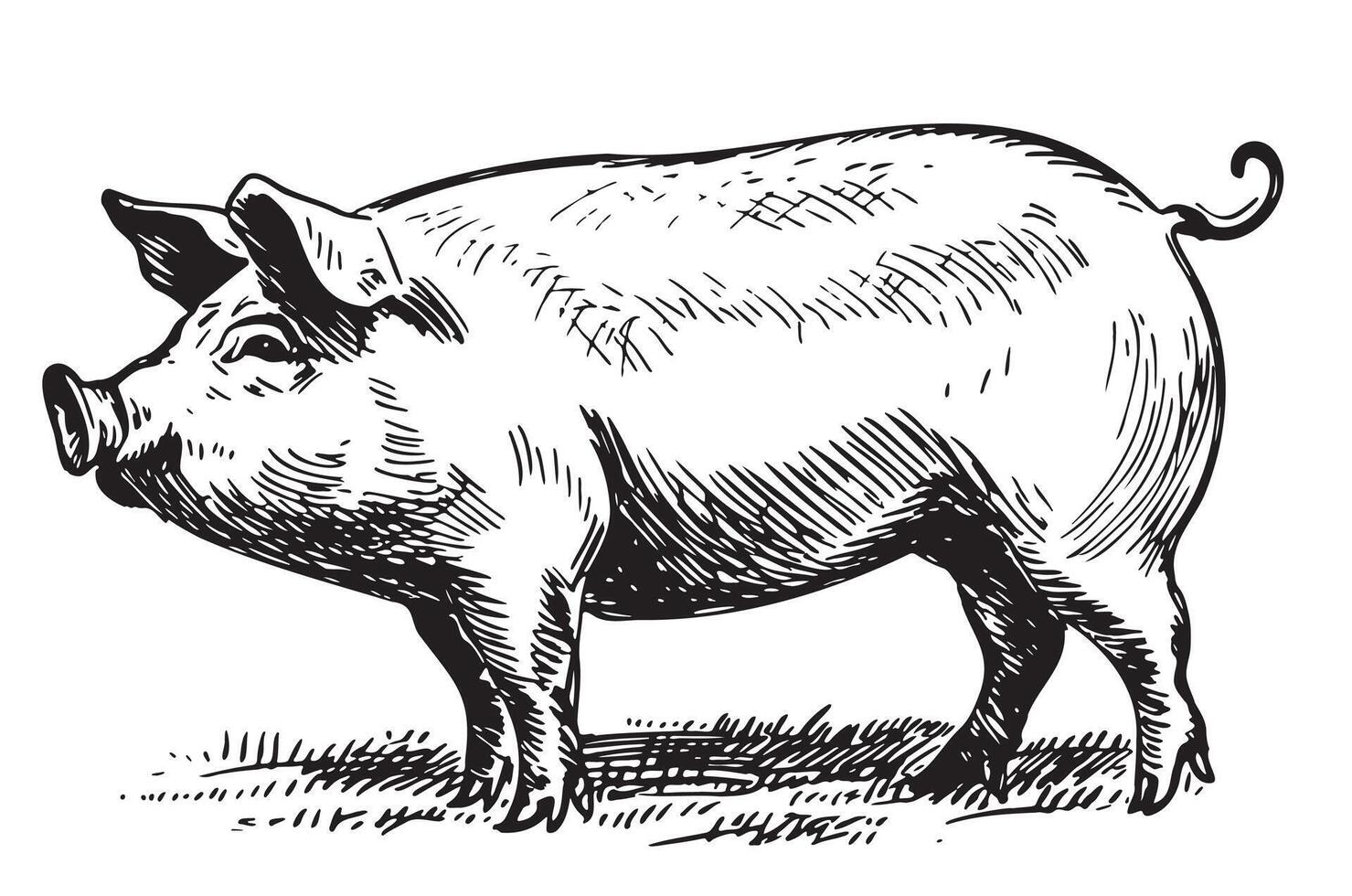 gordo porco dentro gráfico estilo agricultura e animal criação ilustração vetor