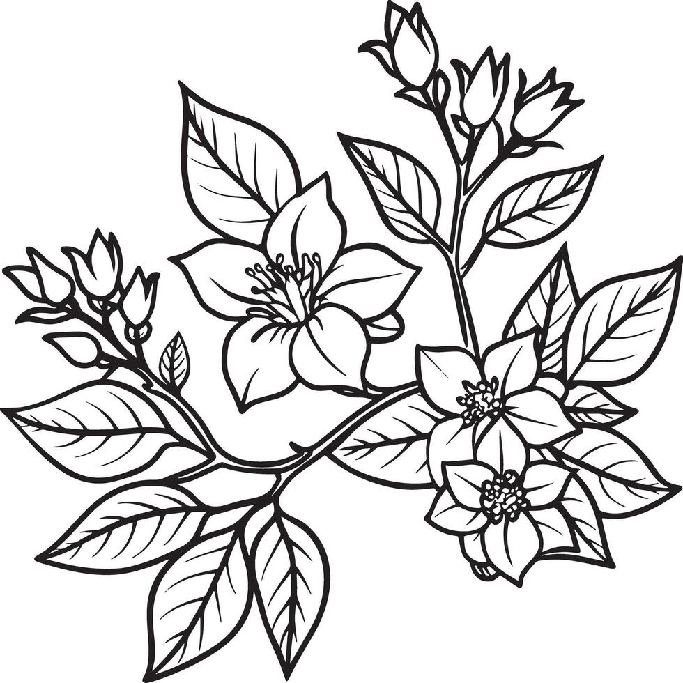 ilustração do flores e folhas dentro Preto e branco para coloração livro vetor