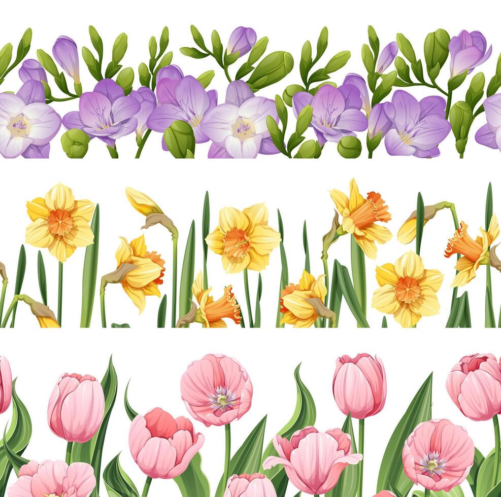 conjunto do desatado fronteiras do Primavera flores em isolado fundo. fundo do narcisos, tulipas, frésia para decoração cartões, bandeiras, cartazes, convites, etc vetor