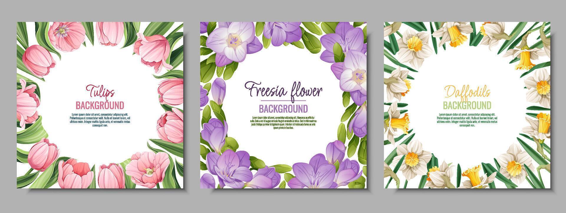 conjunto do bandeira modelos com Primavera flores cartão postal, poster com tulipas, narcisos, frésia. ilustração do delicado flores dentro desenho animado estilo para cartão, convite, fundo, etc. vetor