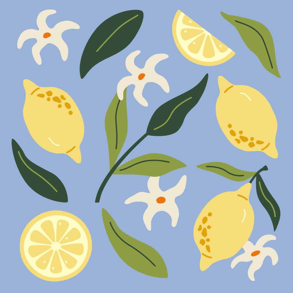 moderno abstrato ilustração limão com folhas. moderno arte imprimir. conjunto do citrino tropical frutas. verão Projeto. vetor
