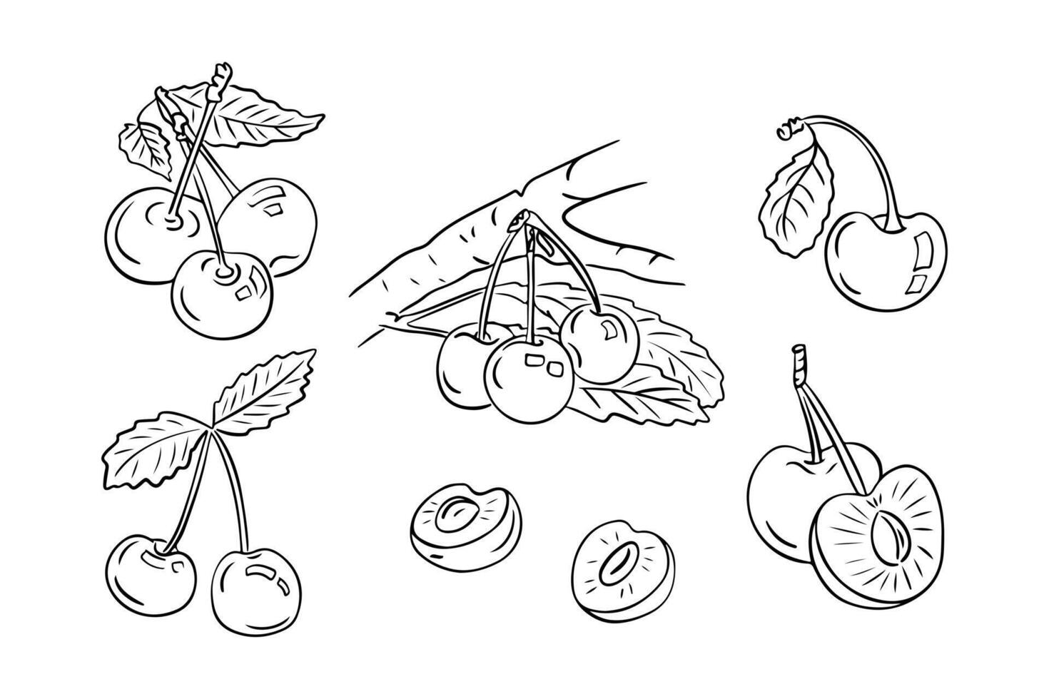 verão frutas rabisco conjunto com cerejas e galhos com folhas. monocromático esboçado desenhos do grupos do frutas em branco fundo. ideal para coloração Páginas, tatuagem, padronizar vetor