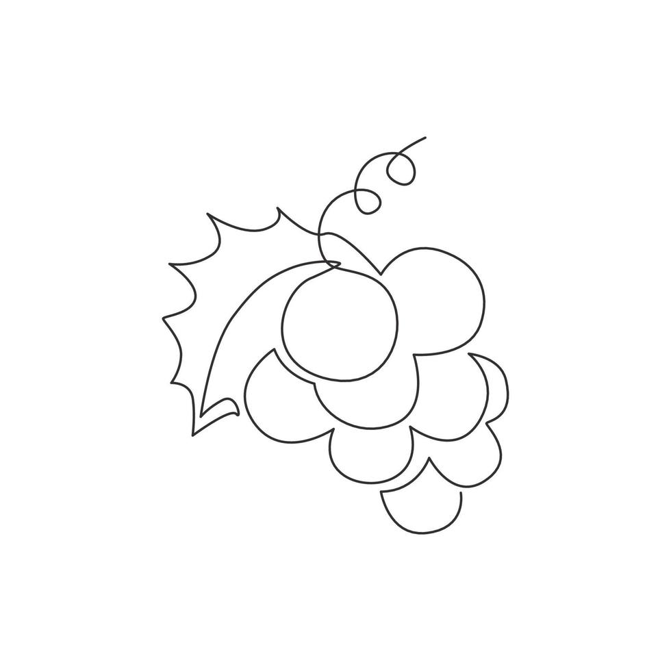 desenho de uma única linha de uva orgânica saudável para a identidade do logotipo do vinhedo. conceito de frutas tropicais frescas para ícone de jardim de pomar de frutas. ilustração em vetor design gráfico moderno linha contínua