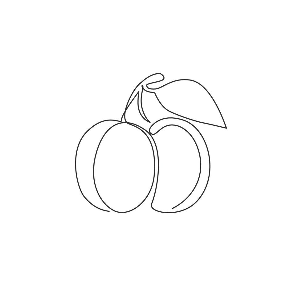 desenho de linha contínua única de alperce orgânico saudável inteiro para identidade do logotipo do pomar. conceito de fruta fresca para ícone de jardim de frutas. ilustração em vetor design gráfico moderno de uma linha