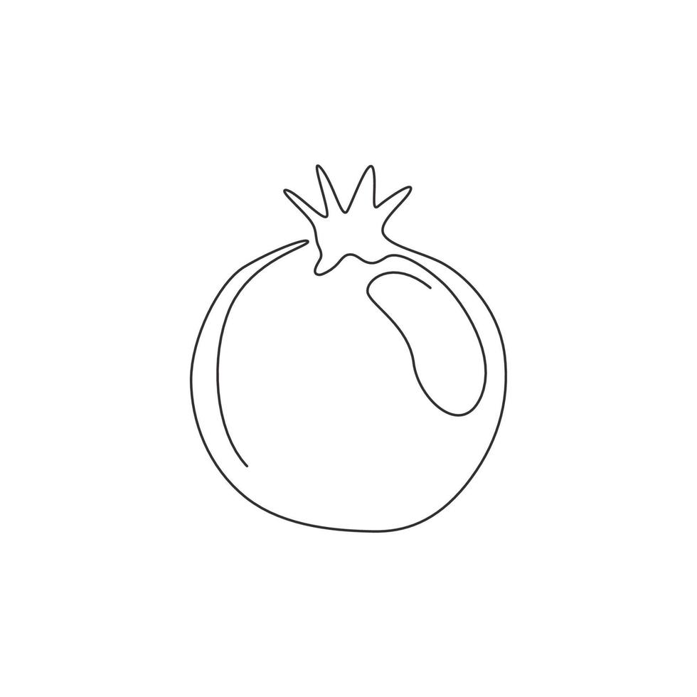 uma única linha desenhando romã orgânica inteira saudável para a identidade do logotipo do pomar. conceito de sementes de frutas frescas para ícone de jardim de frutas. ilustração gráfica do vetor moderno desenho linha contínua