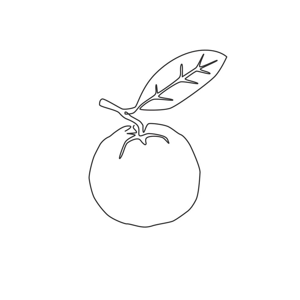 uma linha contínua que desenha a identidade do logotipo da goiaba java orgânica saudável inteira para pomar. conceito de frutas exóticas frescas para ícone de jardim de frutas. ilustração gráfica de vetor moderno desenho de linha única