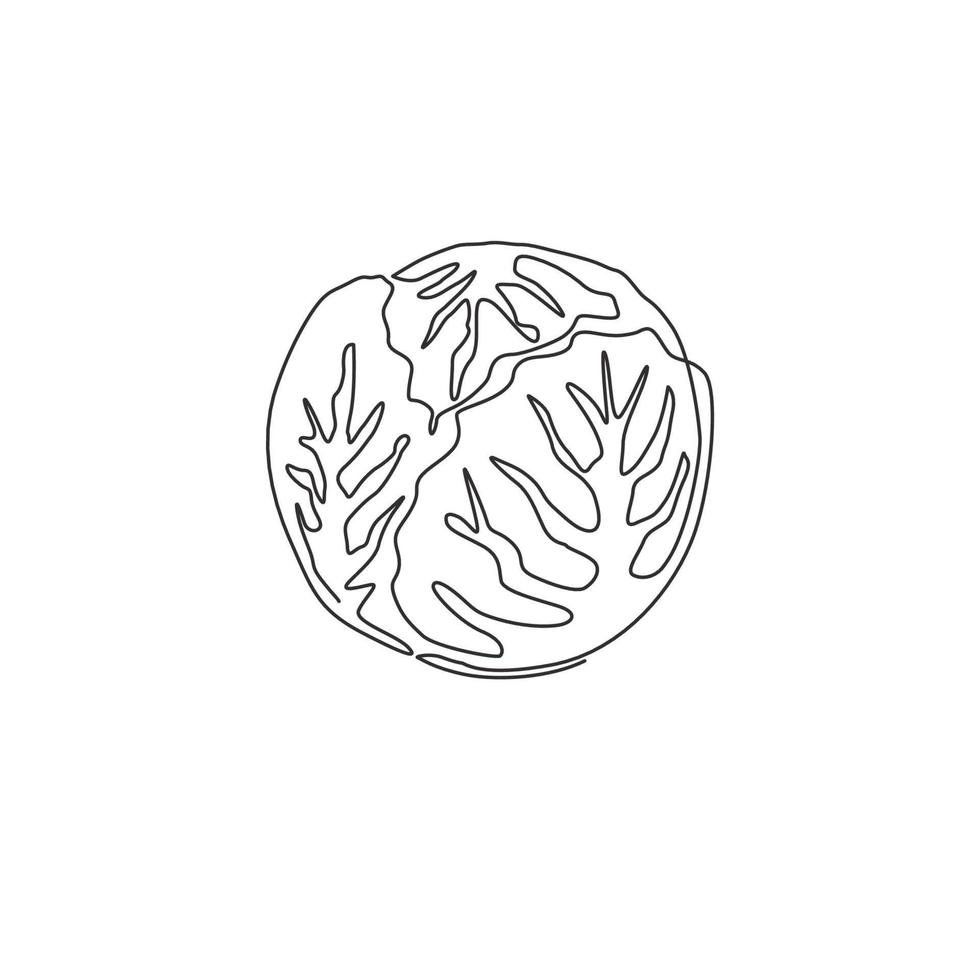 um desenho a linha contínuo de todo o repolho orgânico saudável para a identidade do logotipo da fazenda. conceito de planta bienal fresca para ícone vegetal. ilustração gráfica de vetor moderno desenho de linha única