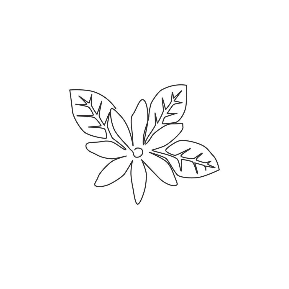 um único desenho de linha de flor de jasmim de folha caduca fresca de beleza para logotipo de bebida de chá. jasminum decorativo para impressão para pôster de decoração de parede em casa. ilustração em vetor desenho moderno linha contínua
