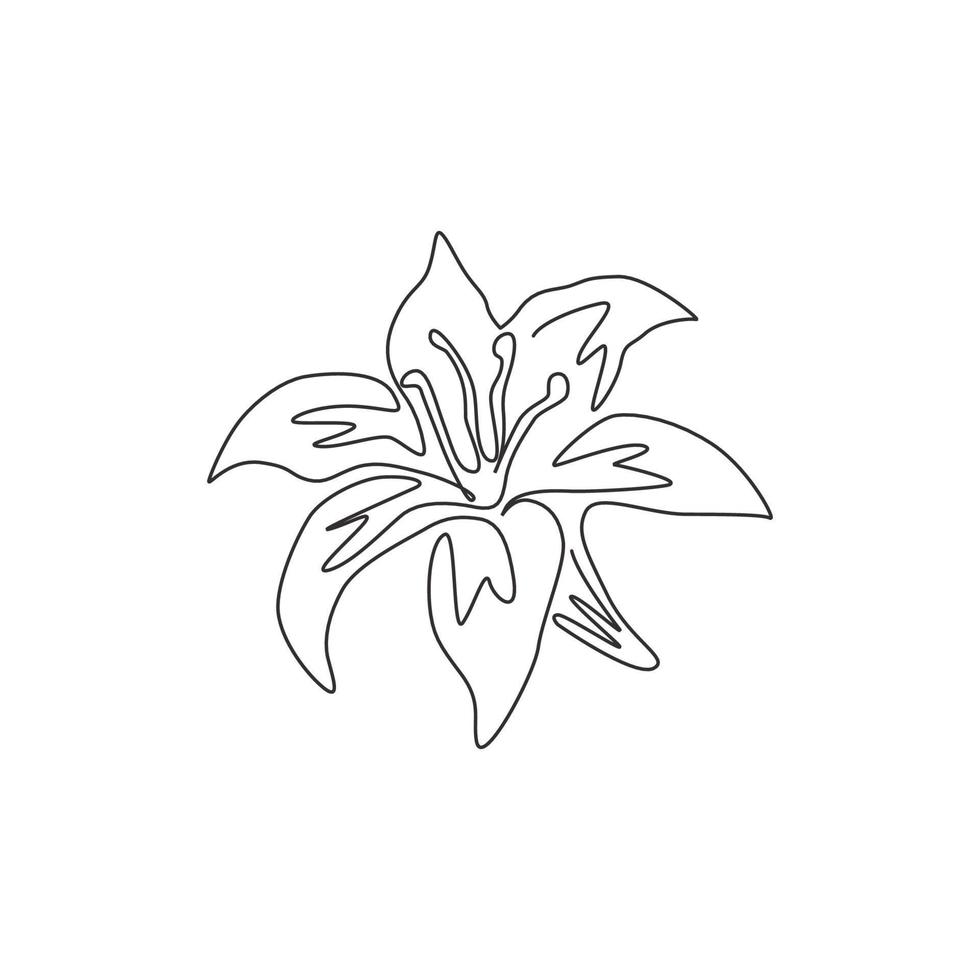 um desenho de linha contínua de lilium de plantas perenes frescas de beleza para o logotipo do jardim. flor de lírios verdadeiros decorativos para impressão para cartaz de decoração de parede de casa. ilustração em vetor moderno desenho de linha única