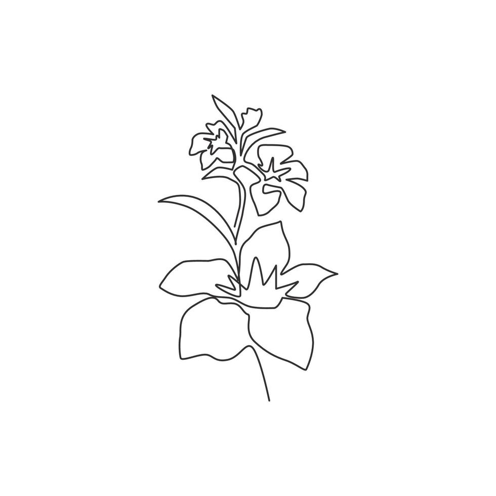 desenho de linha única contínua de orquídea fresca de beleza para arte de decoração de parede. cartaz decorativo para impressão de orquídeas flor capina cartão de convite. ilustração em vetor moderno desenho de uma linha