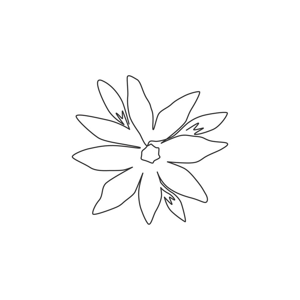 um único desenho de linha de orquídea fresca de beleza para a arte do pôster de decoração de parede de casa. conceito decorativo de ornamento de flor de orchidaceae para impressão. ilustração gráfica do vetor moderno desenho linha contínua