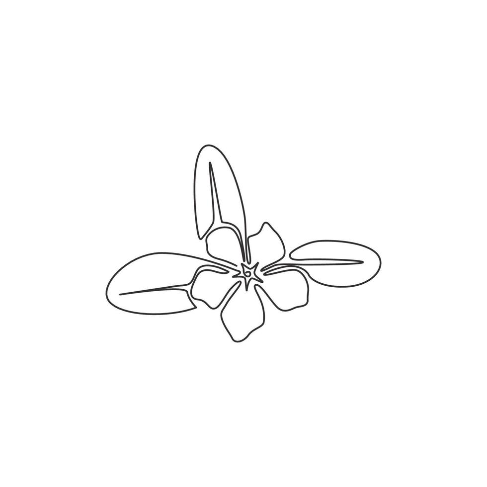 um único desenho de linha de beleza pervinca fresca para arte de pôster de decoração de parede doméstica. flor de vinca decorativa para impressão para cartão de convite de casamento. ilustração em vetor desenho moderno linha contínua