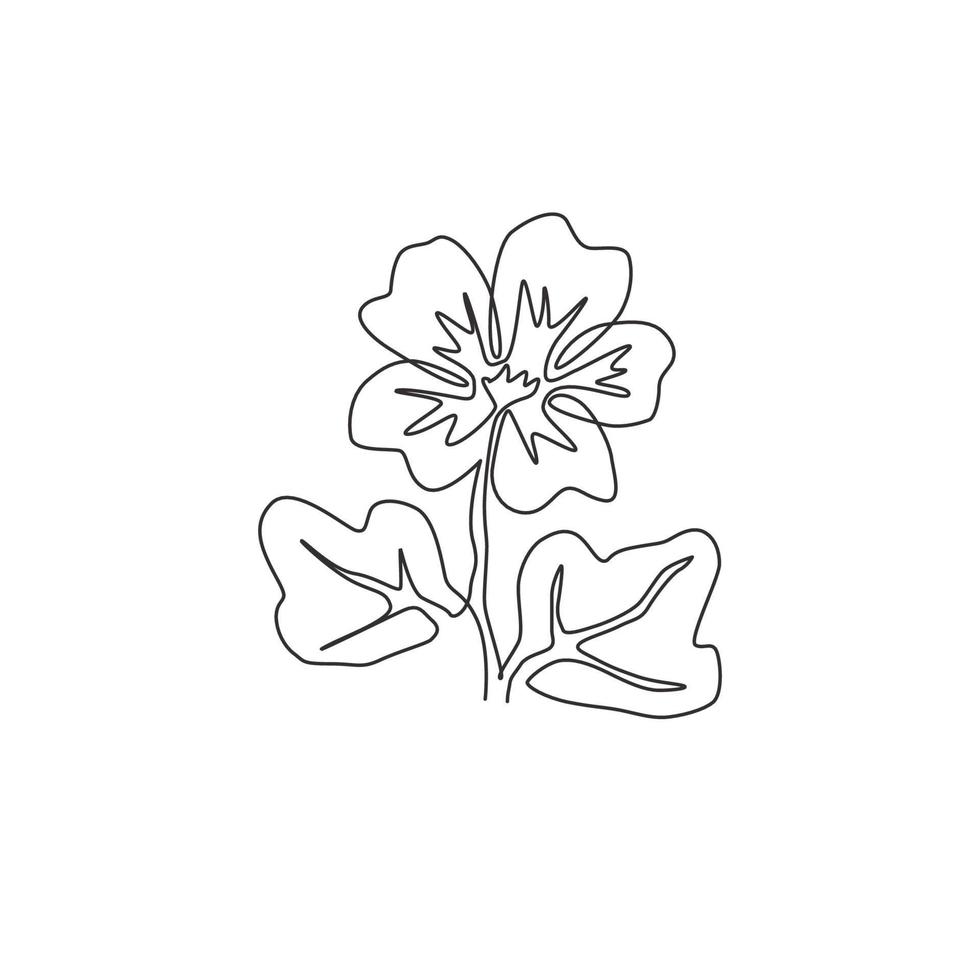 uma linha contínua desenho beleza malva roxa fresca para a arte do pôster de decoração de parede para casa. flor de malva comum decorativa para cartão de convite de casamento. ilustração em vetor desenho desenho de linha única na moda