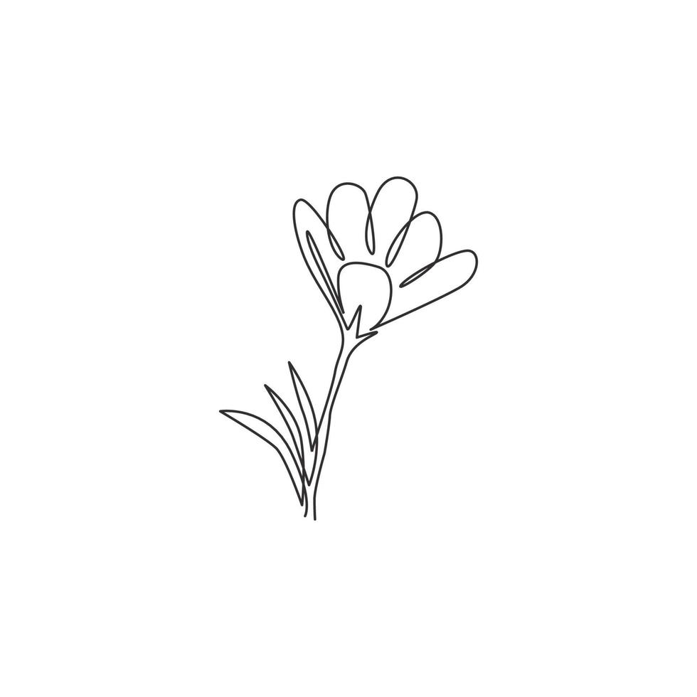 um desenho de linha contínuo de beleza fresco croci para impressão de pôster de arte de decoração de parede em casa. flor de açafrão decorativa para impressão para cartão de convite. ilustração em vetor moderno desenho de linha única