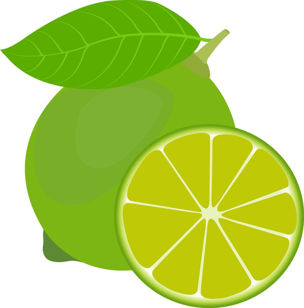 ilustrações vetoriais de frutas de limão vetor