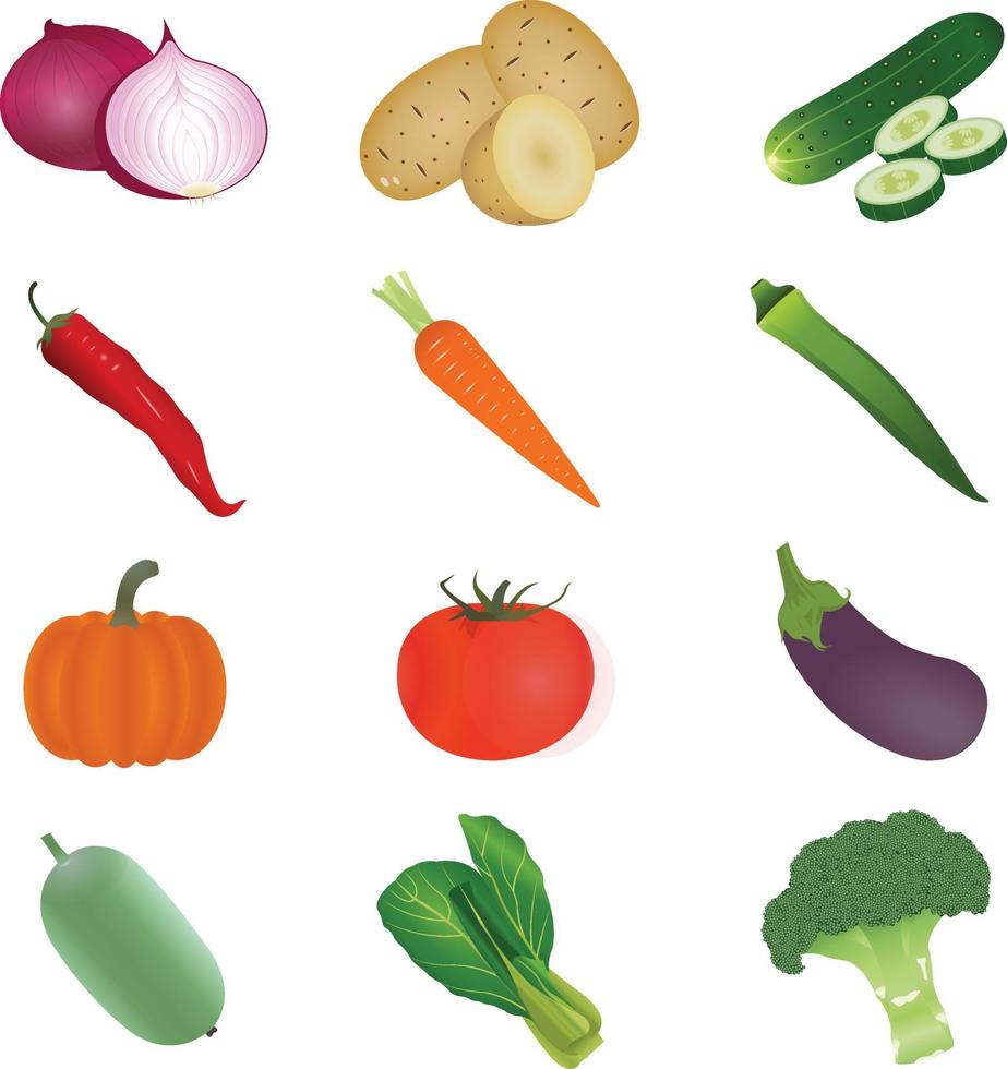 vector vegitable realistick illustration.eps