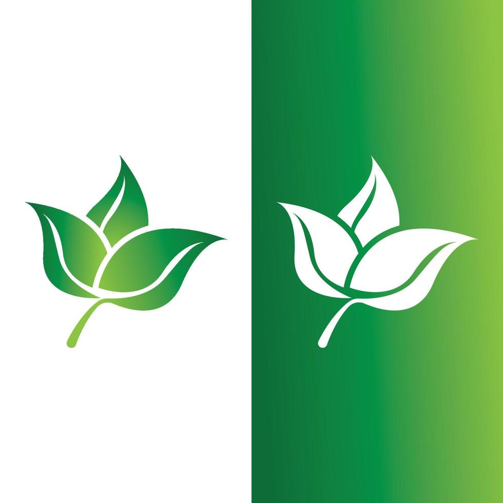 logotipos da ecologia de folhas verdes vetor