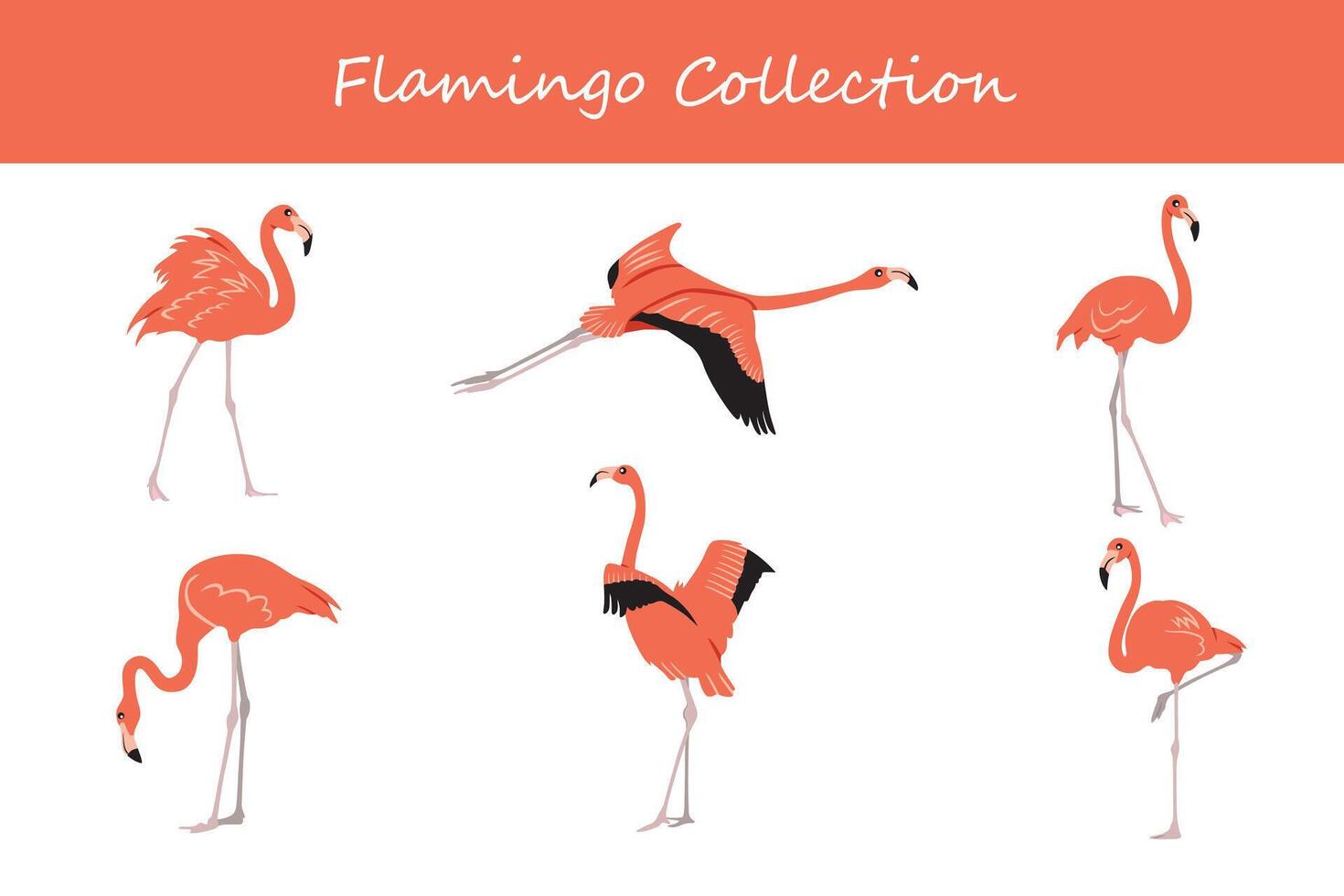 flamingo coleção. flamingo dentro diferente poses. vetor